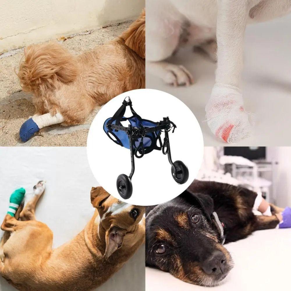 Adjustable Pet Walk Booster Walking Wheels Pet Hind Legs Bracket Disability Dog