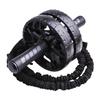 Long Zhan Silent AB Wheel & Push-up Roller