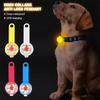 Pet Luminous Collar Dog Pendant Luminous Dog Tag Anti Loss Collar LED Waterproof Safety Flashlight USB Rechargeable Luminous Pen
