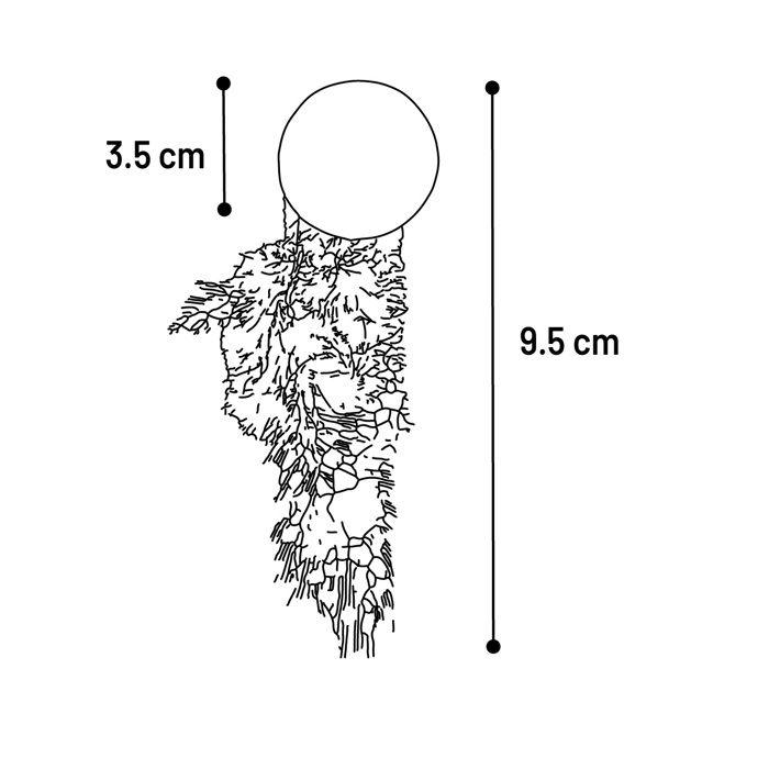 Jouet pour chat - EDEN - Katti - Balle de cataire - Avec plumes - Lot de 2