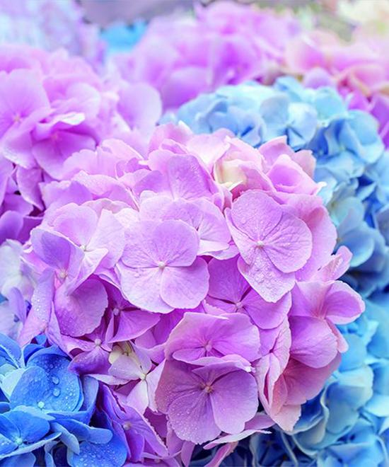 RUOPOTY Painting By Numbers Vase Hand Painted Pictures By Number Flower On Canvas Home Decoration DIY Gift Wall Art