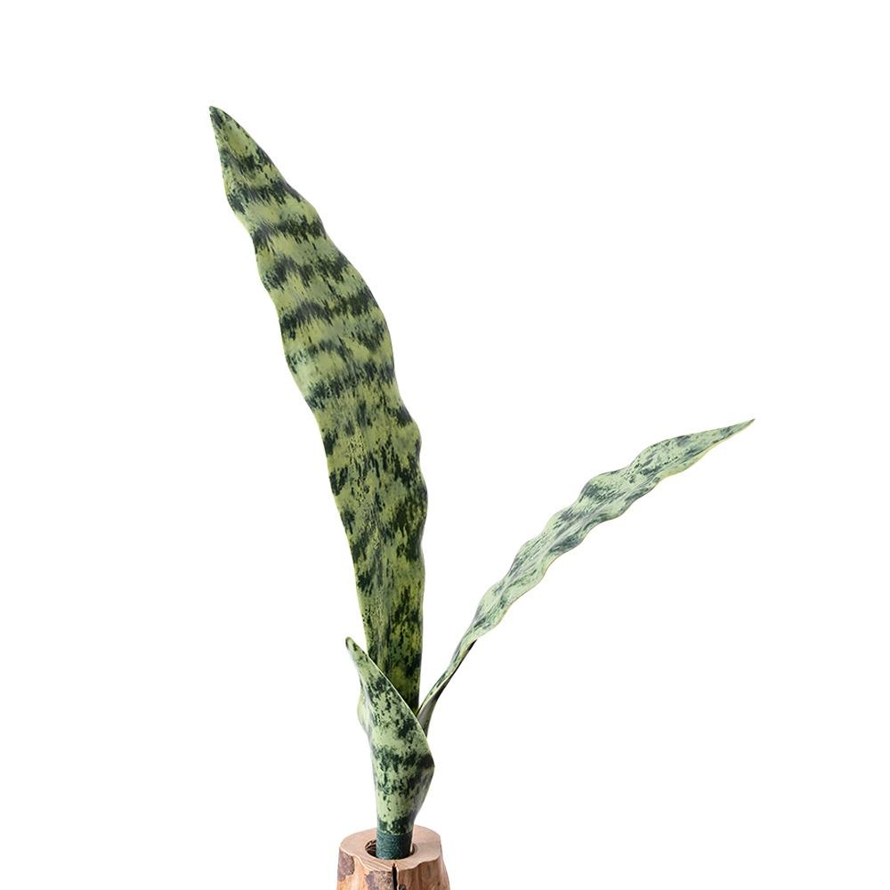 Kreative Grüne Künstliche Schlangenpflanze Foto Requisiten Weiches PVC Simulation Gras Handwerk Orchideen Gras Geschenk