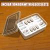 Transparent Turtles Egg Incubator Tray with Thermometer Crawler Incubation Case  Gecko
