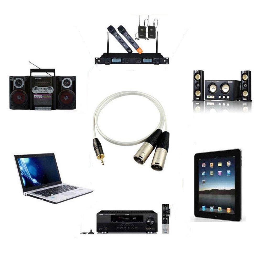 XLR Cable, Microphone Cable, Canon Conversion Cable, Audio Cable, Stereo Cable, 3.5mm Plug (Male) to 2XLR Plug (Male), Stereo Mini Plug Male-Male (1m)