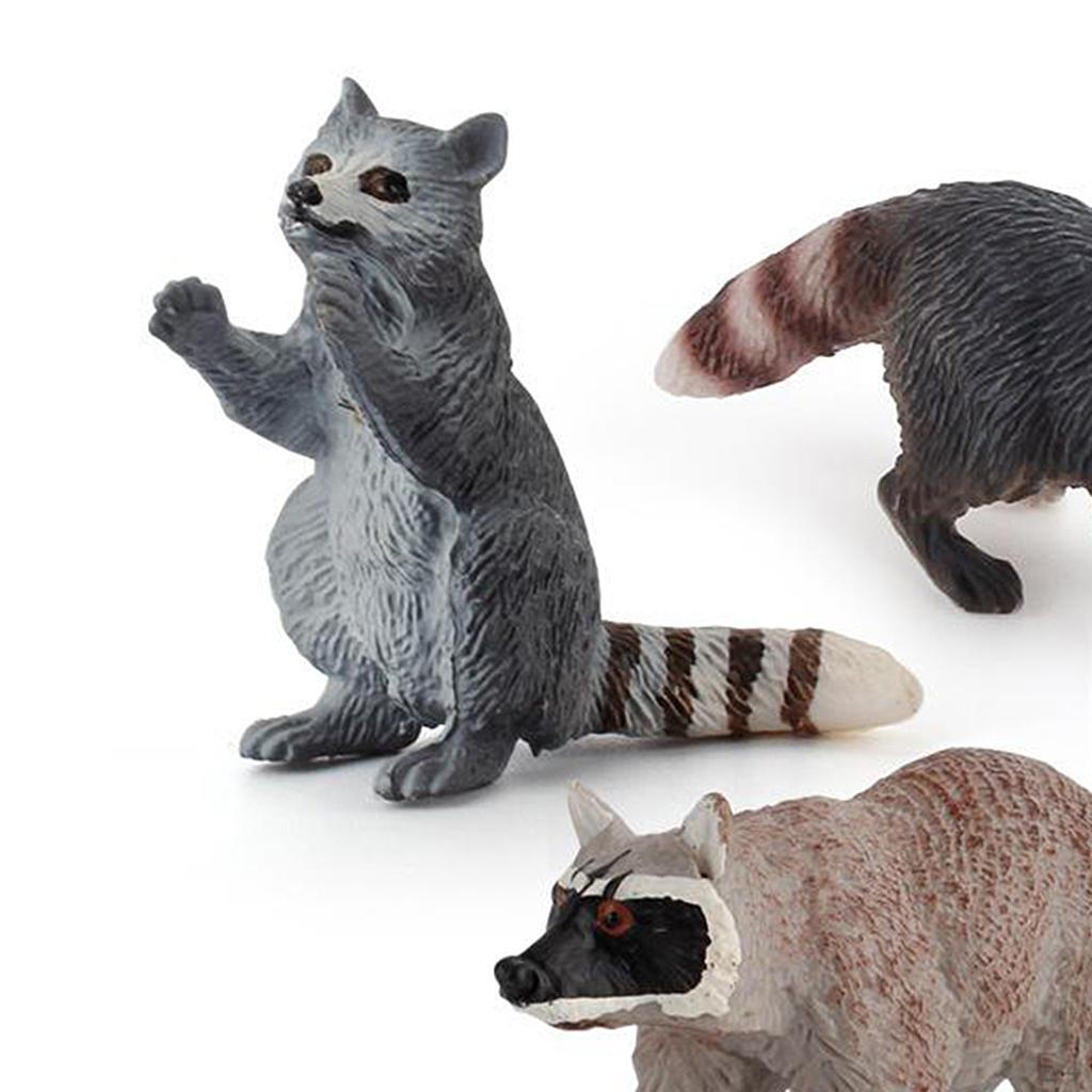 Wildtier Nordamerikanischer Waschbär Figuren Miniaturmodell