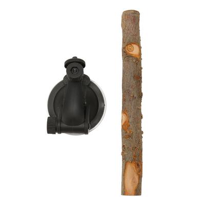 Perca de Madera para Loro Evita Deslizamientos Perca Interactiva para Ventana de Pájaro Soporte con Ventosas para Pequeño