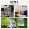 Parrot Out Cages Breathable Ornamental Out Cages Portable Outdoor Transparent Portable Bird Bags Pet Bird Supplies