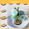 Kenzan Kit Ikebana For Flower Arrangement Durable Composite Hotel Lounge Decor