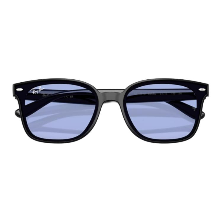 Ray-Ban Logo Design Cat Eye Sunglasses Unisex sunglasses Black RB4461D-601/80