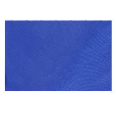 TRIWONDER Outdoor Waterproof Sunshade Camping Shelter Tent Tarp Footprint Beach Picnic Blanket Mat Rainfly Hammock Blue S 250x150 (Dark - CM)