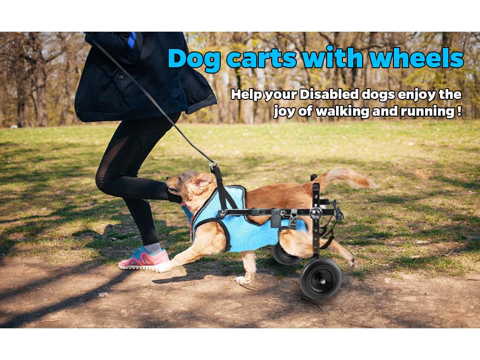 כיסא גלגלים/עגלה לכלב נכה: סיוע ניידות חוצה גבולות לשיקום