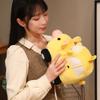 20/30cm Funny Piggy Taxi Car Plush Toy Stuffed Cartoon Animal Red Yellow Pink Blue Transportation Plushie Gift