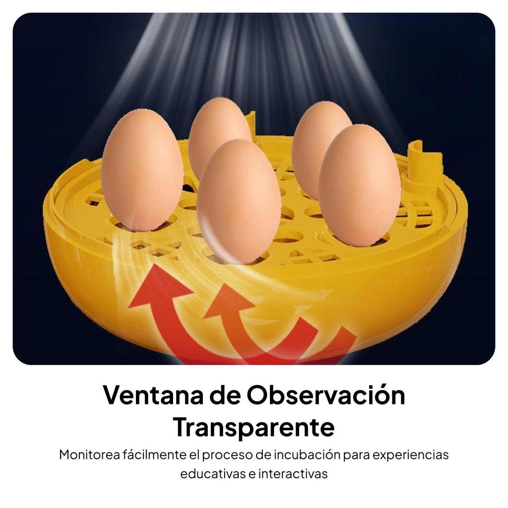 Egg Incubator Hatcher Machine Educational Experiment Practice Temperature Control Chicken