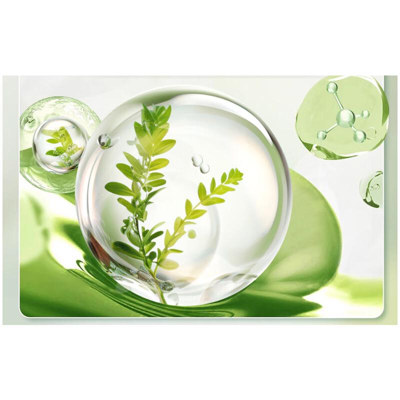 Miss Lilly Anti-dandruff Camellia Shampoo