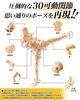 CHALAN Drawing Movable Figure with 30 Moveable Joints and Stand by Professional Manga Drawing Male and Muscular Drawing Character Art Male Gray Doll,
