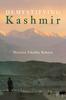 Libro Demystifying Kashmir