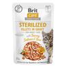 Brit Care Cat Fillets In Gravy Sterilized Salmon And Tuna In Sauce 85G Sachet