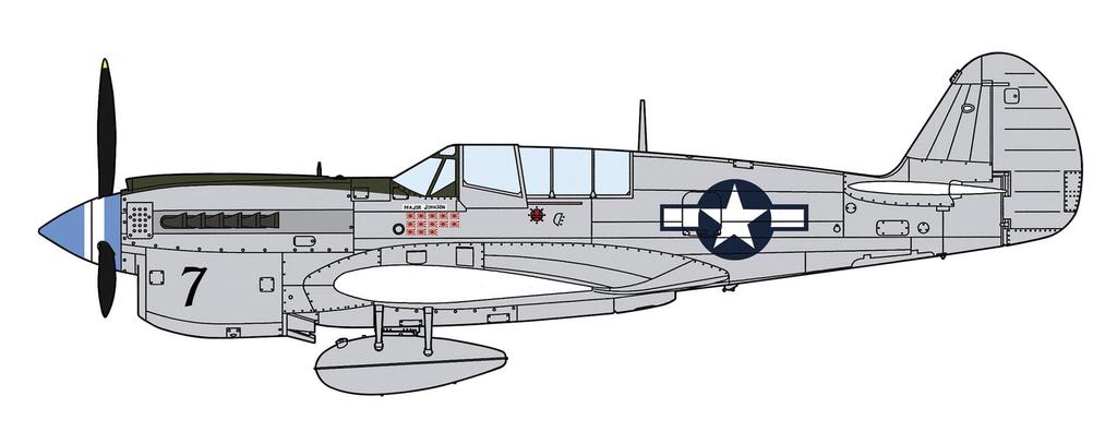 Hasegawa 1/48 P-40N Warhawk Natural Metal Aces Plastic Model 07516