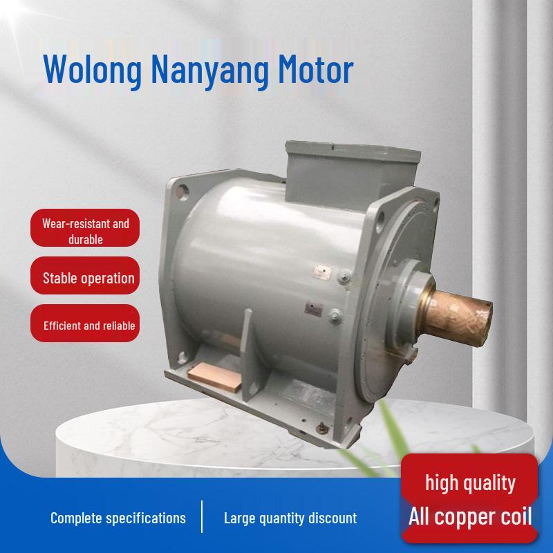 Wolong Nanyang Low-Voltage PM Direct-Drive VFD Three-Phase Synchronous Motor