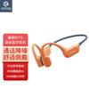 SANAG B77S ProMax Bone Conduction Swimming Headset