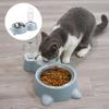 Bowl Pet Dishes, Feeder Feeding for Cats or Small Dogs Steel Double Bowls