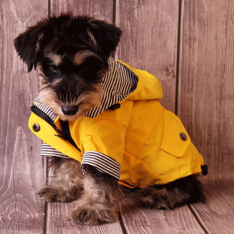 Wasserdichte Haustier-Hundemanteljacke für mittelgroße und große Hunde, modischer Regenmantel für Welpen, Katzen, Shiba Inu, Bulldogge, Pudel, Kleidung, Maskottchen-Outfit