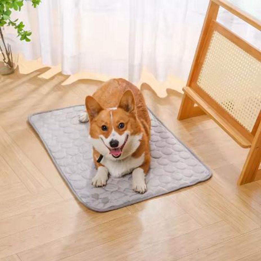 Non-Slip Pet Ice Pad Bite Resistant Pet Sleeping Pad Comfortable Dog Cooling Mat Summer