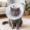 Breathable Pet Protective Collar Adjustable Bite Resistant Anti-Bite Collar Anti-Scratch Transparent Cat Anti Lick Cover
