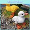 Childrens Pvc Bird Figurines Set For Farm Scene Decor And Learning Activities