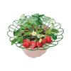 Strawberry Cradle Reusable Strawberry Support Trellis Planter Insert Strawberry Holder Avoid Ground Rot Gift for Home Gardeners