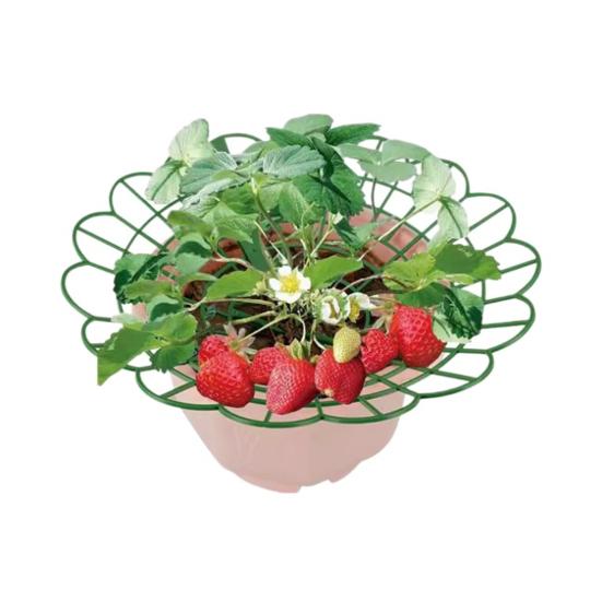 Strawberry Cradle Reusable Strawberry Support Trellis Planter Insert Strawberry Holder Avoid Ground Rot Gift for Home Gardeners