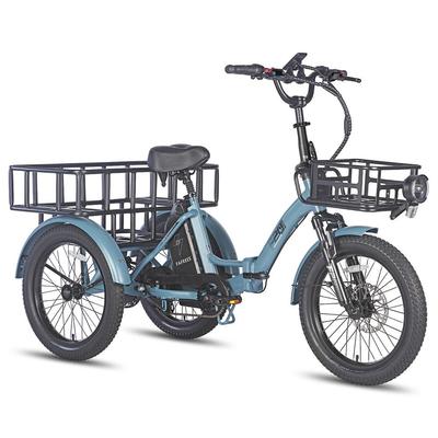 Fafrees F20 Mate Electric Cargo Bicycle 20" Tire 250W Motor Top Speed 25km/h LCD Display 48V 20Ah Foldable Adult E-Bike Max Load 180Kg