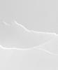 Brevity Daily Stem Cell Culture Fluid Lotion