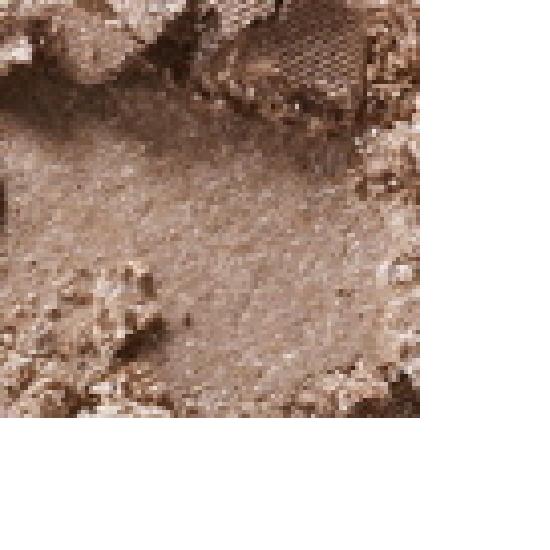 Choose One MAC Eyeshadow (Soba, Honey Lust, All That Glitters, Etc.)