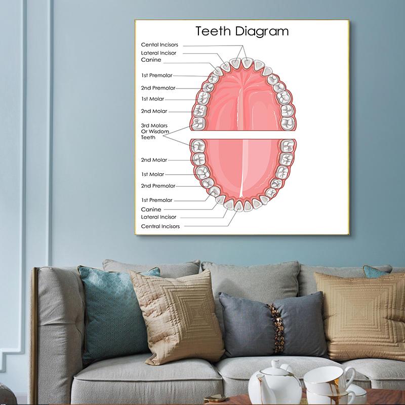 Human Organs Brain Liver Heart Anatomy Poster Print Canvas Painting Human Body Map Medical Classroom Office Room Home Decoration