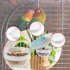 Bird Feeder Finch Foraging Food Dish Clear Parrot Feeder Hanging Feeding Bowl
