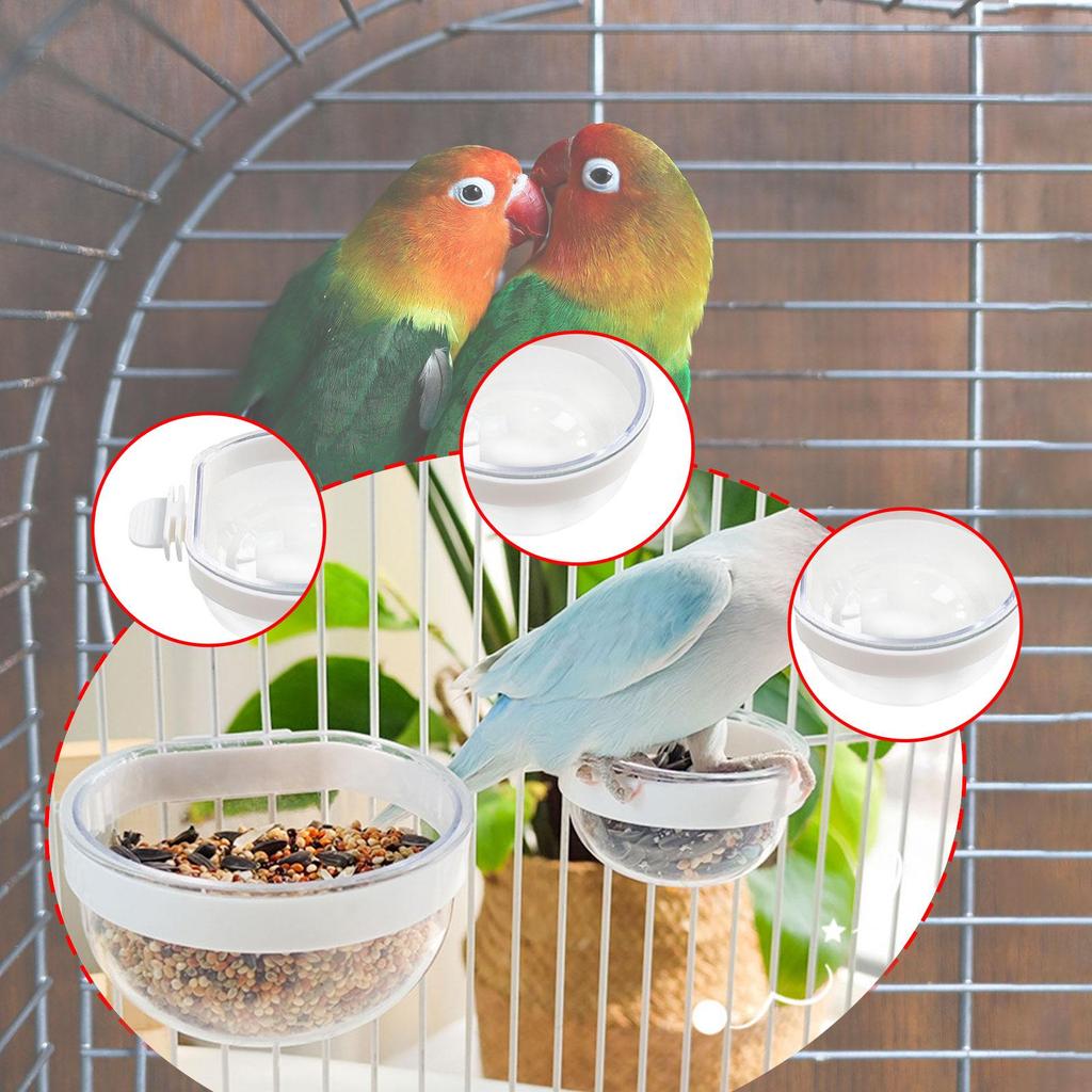 Bird Feeder Finch Foraging Food Dish Clear Parrot Feeder Hanging Feeding Bowl