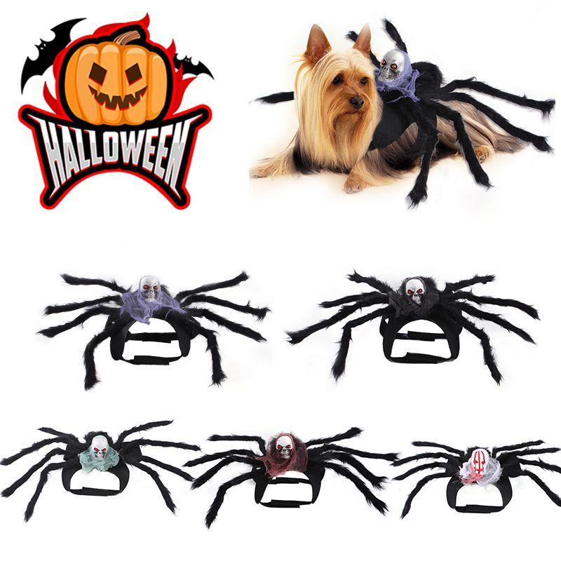 Cute Pet Spider Costume For Halloween Party