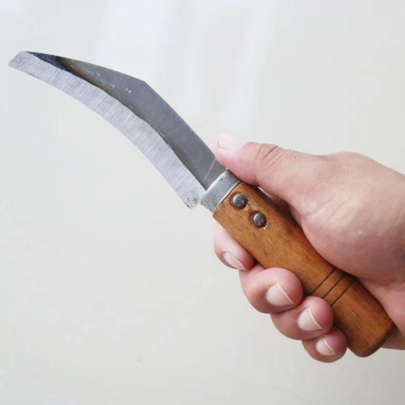 Multi-Functional Garlic Shears: Sharp, No Sharpening Needed, Perfect for Fresh, Dried, or Large Head Garlic in Agricultural and Household Settings