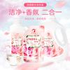 2L 8 Bottles of Sterilizing Perfume Detergent