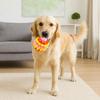 Colorful Dog Elastic Ball Toy Bite Resistant TPR Interactive Dog Toy  Interactive Play