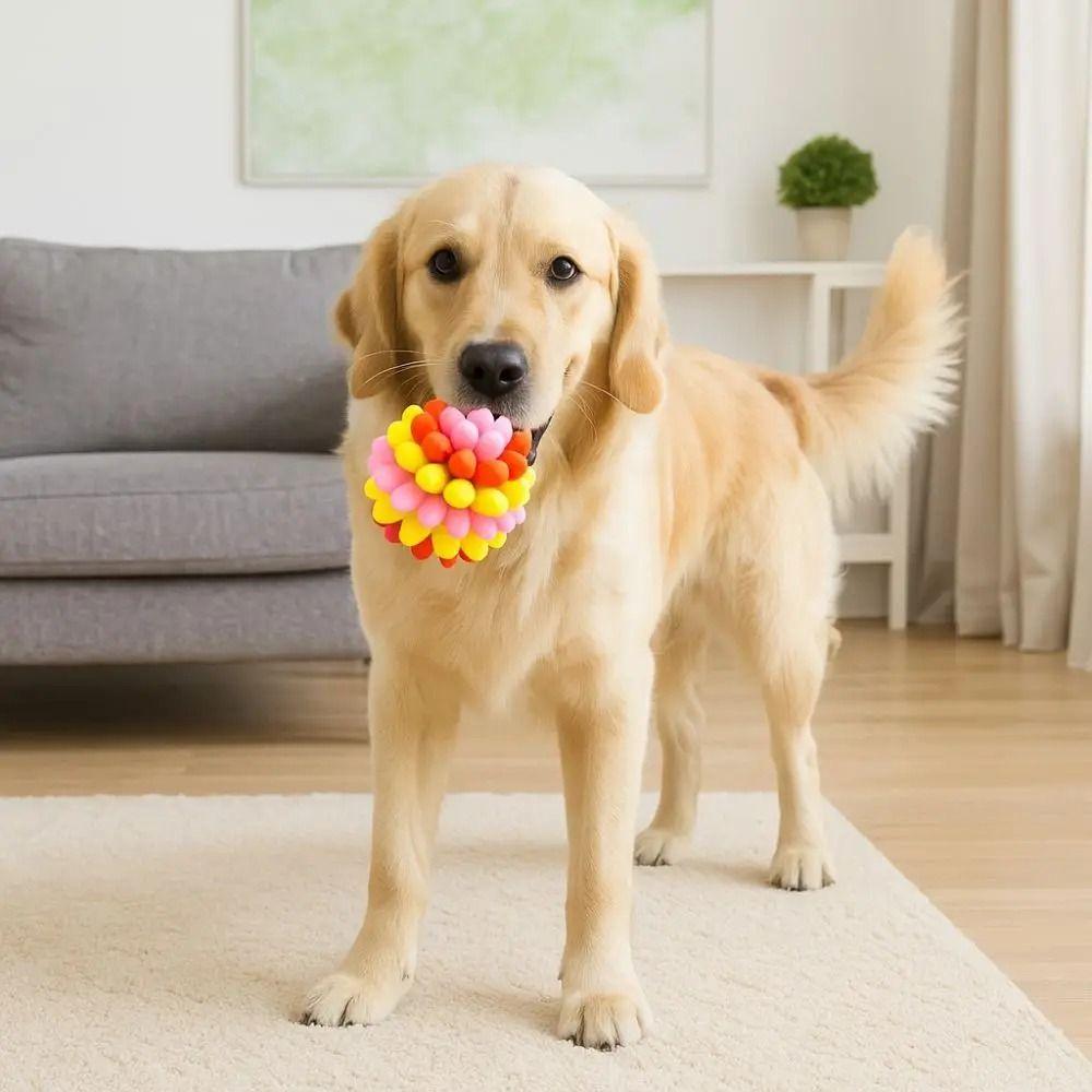 Colorful Dog Elastic Ball Toy Bite Resistant TPR Interactive Dog Toy Interactive Play