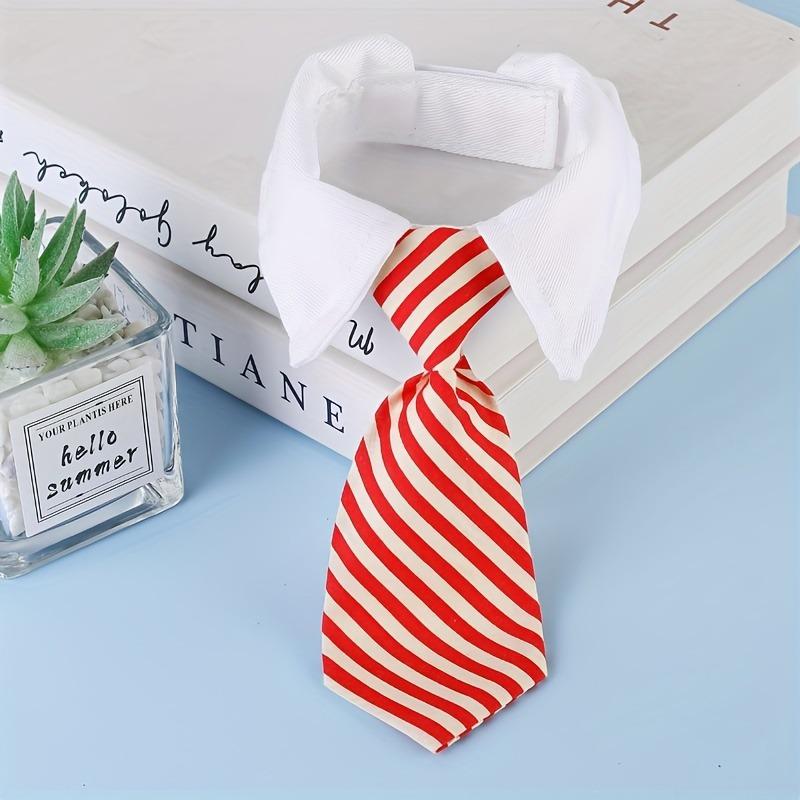 Pet Dog Accessories Small Harness Retractable Leash Things Collar So Pets Products Leather Bulldog French Big Large Dogs Set