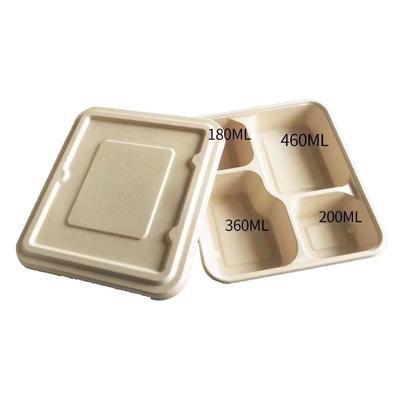 Biodegradable 3-Compartment Disposable Meal Prep Boxes