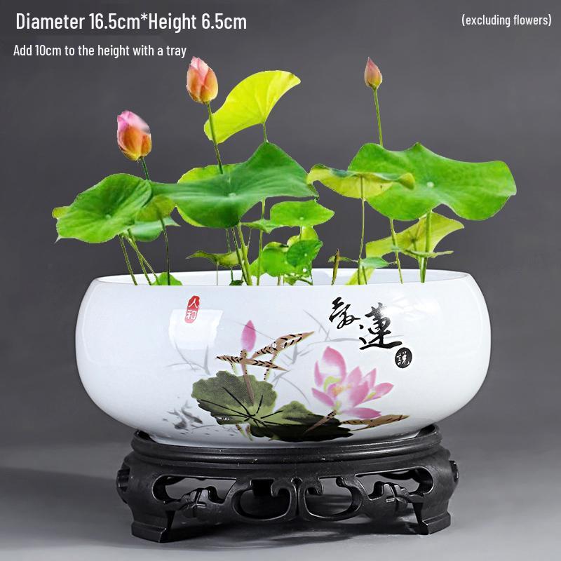 Großer Keramik-Lotus Seerose Hydroponischer Blumentopf ohne Abfluss