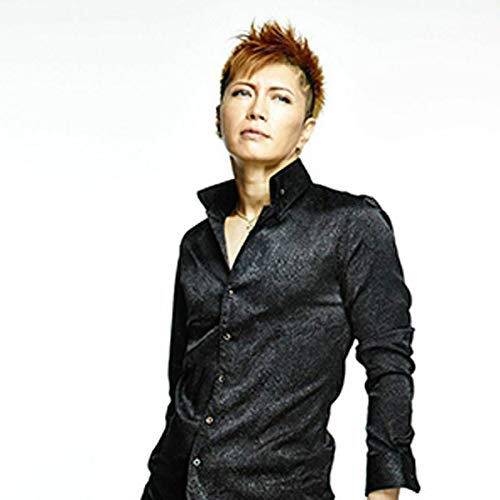 Internet VOCALOID4 Library Gakupido COMPLETE