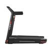 WEZHO Indoor Foldable Electric Home Treadmill