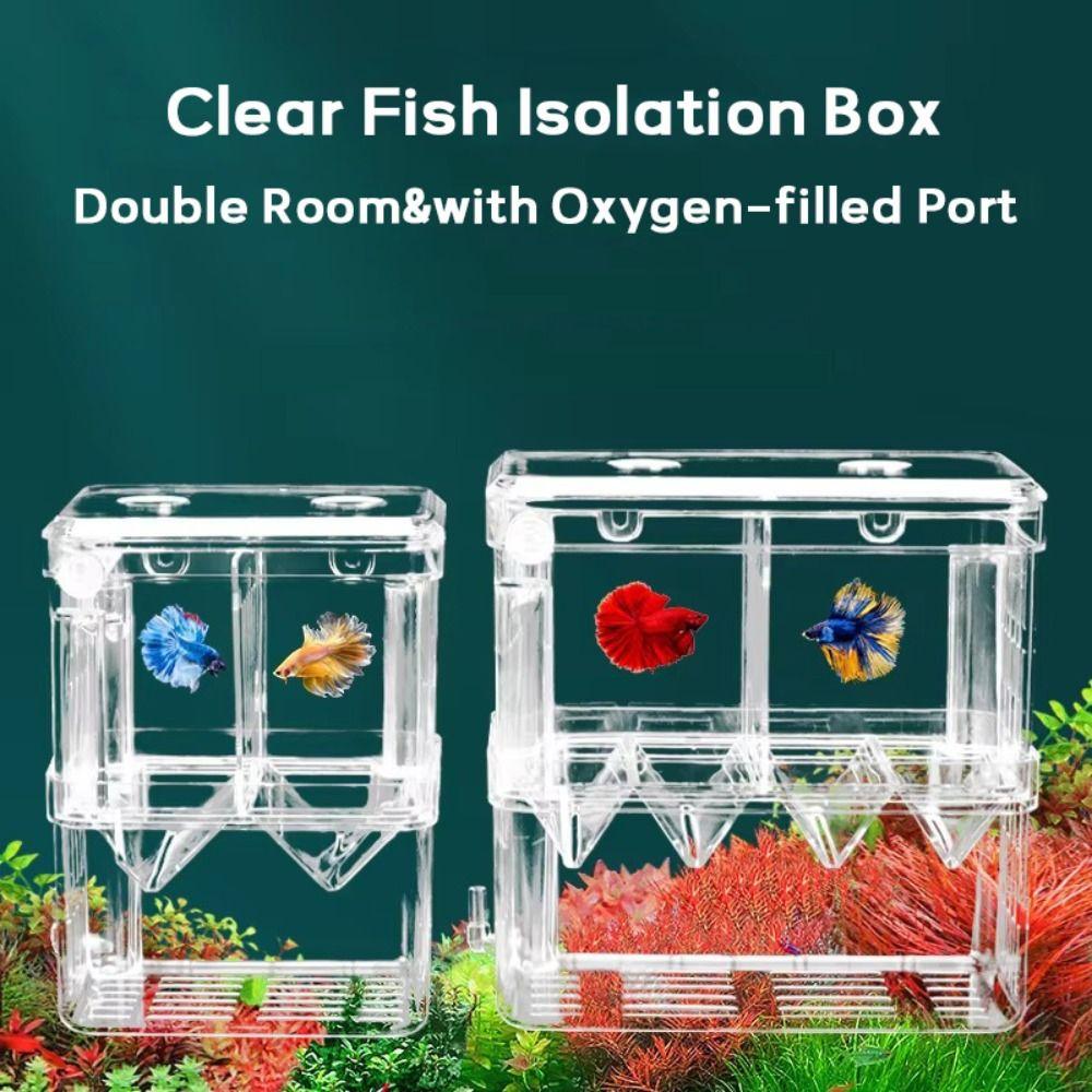 Double Room Clear Fish Isolation Box with Oxygen-filled Port Baby Fish Breeder Box Fish Tank Incubator Box Hatching House