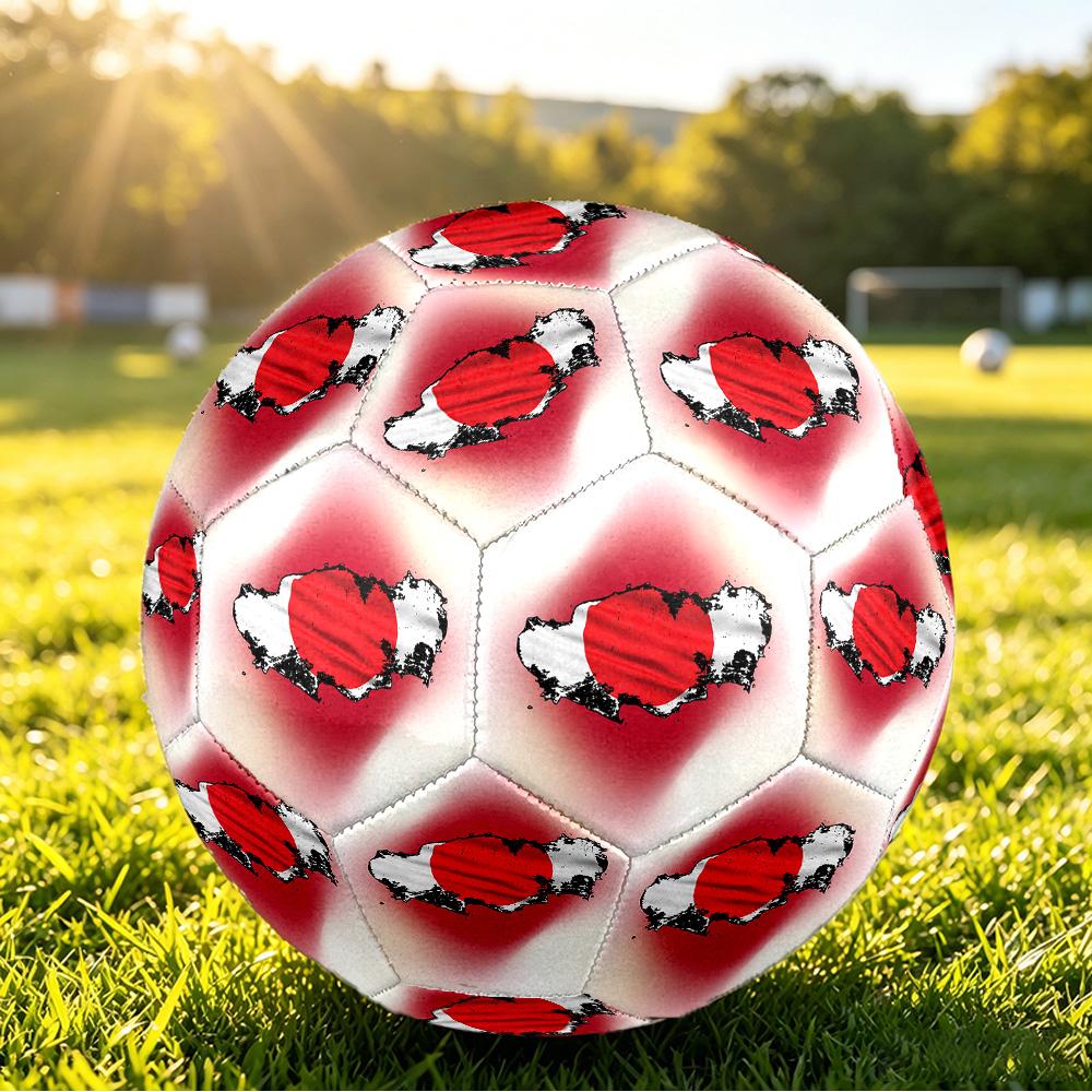Japan Football Printed Size 5 Soccer Ball Wear Resistant Standard Adult Training Football Fan Gift for Indoor Outdoor Match Sports