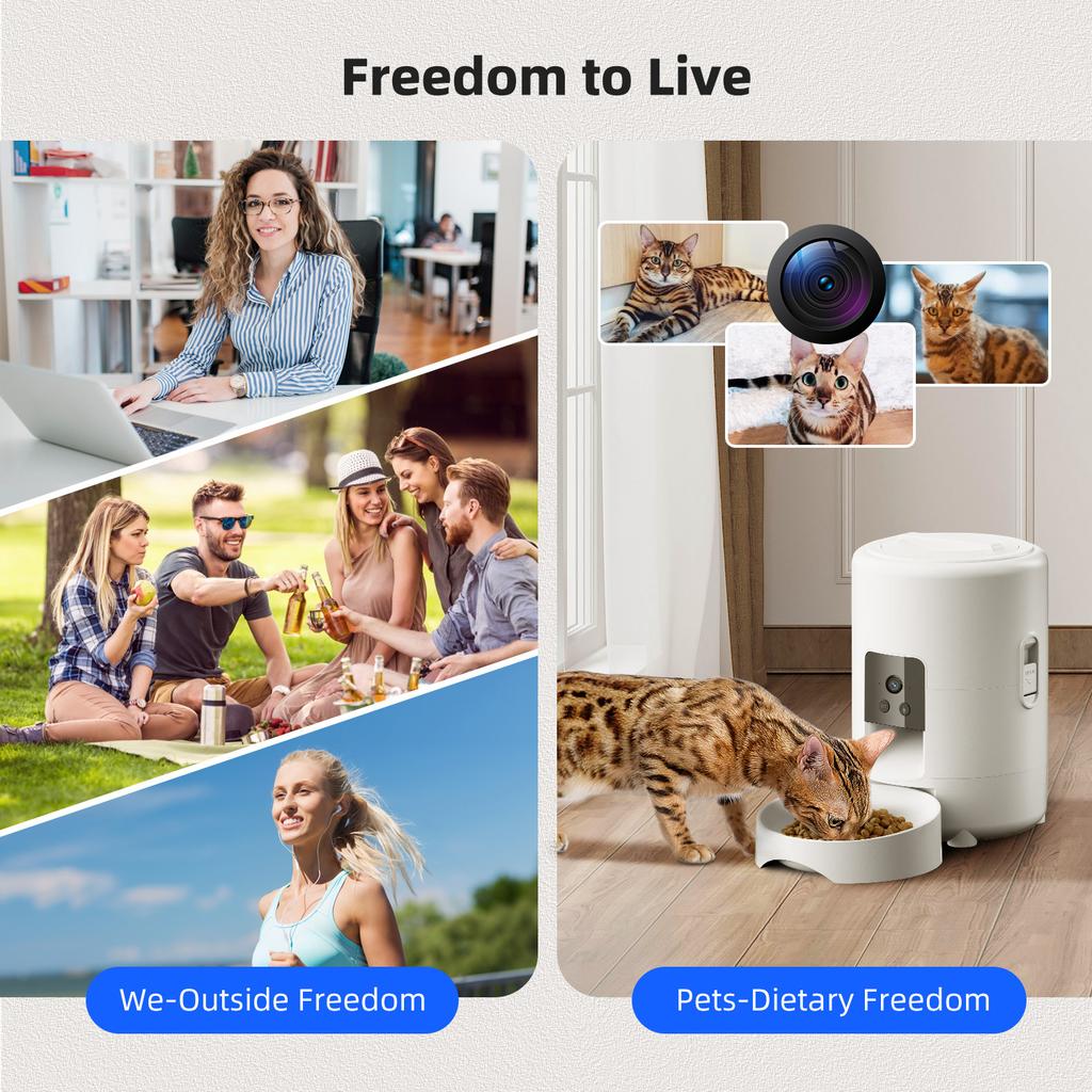 2L APP control WIFI video automatic pet feeder button version automatic cat food dispenser intelligent control pet feeder cat an